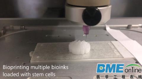 新西兰科学家利用生物医疗3D打印和干细胞制造出可再生新骨骼