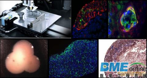 Organovo公司推出3D生物打印人类肾组织产品ExVive