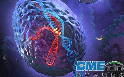 科学家首次使用CRISPR/Cas9技术成功纠正凝血功能