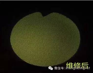 OLYMPUS纤维输尿管肾镜URF-P5维修案例