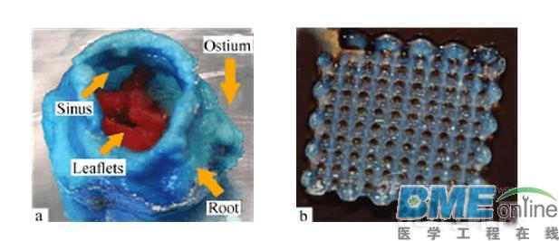 【深度】3D打印技术制备生物医用高分子材料的研究进展