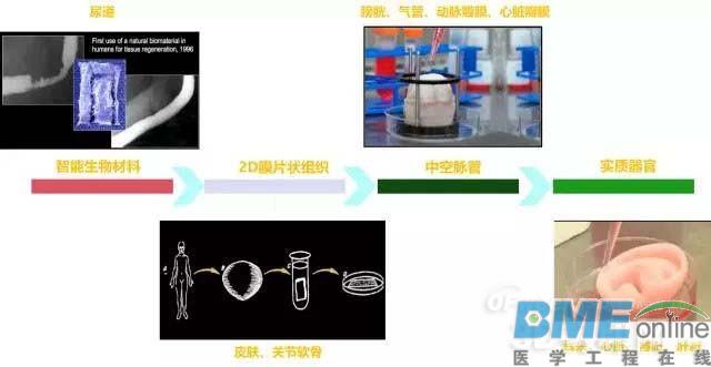 【深度】3D打印技术制备生物医用高分子材料的研究进展