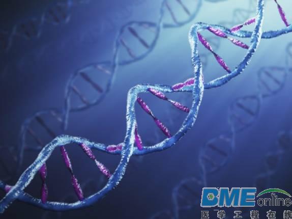 深圳大学捕获细胞核中最短特异DNA图像：可用于癌症检测