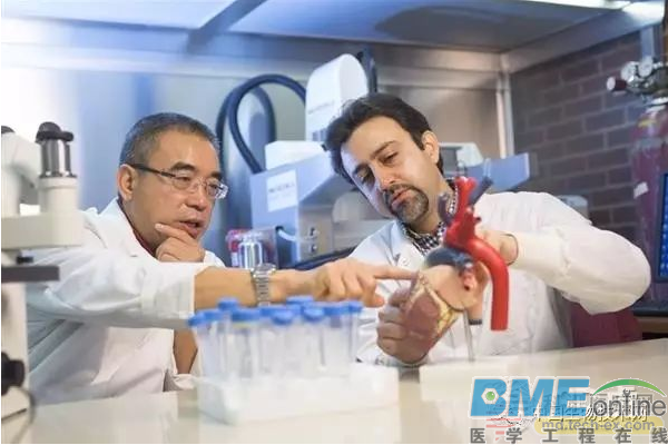 加拿大研究员开发“改革”心脏病治疗的生物 3D 打印心脏贴片