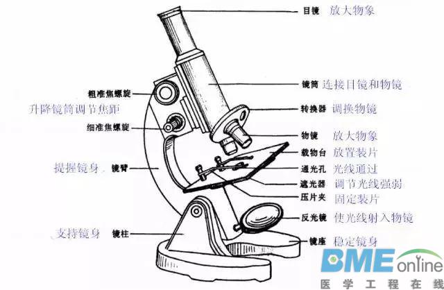 关于光学显微镜，掌握这么多就够了！