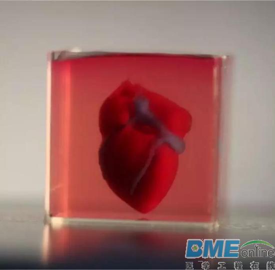 首个3D打印的“人造心脏”诞生，有望变革器官移植