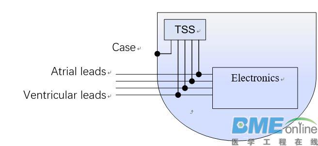 1554879191228789.jpg